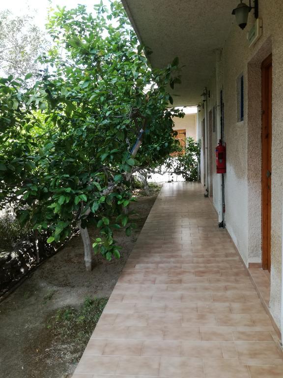 Pericles Studios Agia Marina  Dış mekan fotoğraf