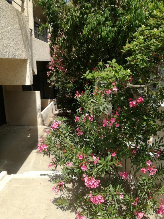 Pericles Studios Agia Marina  Dış mekan fotoğraf