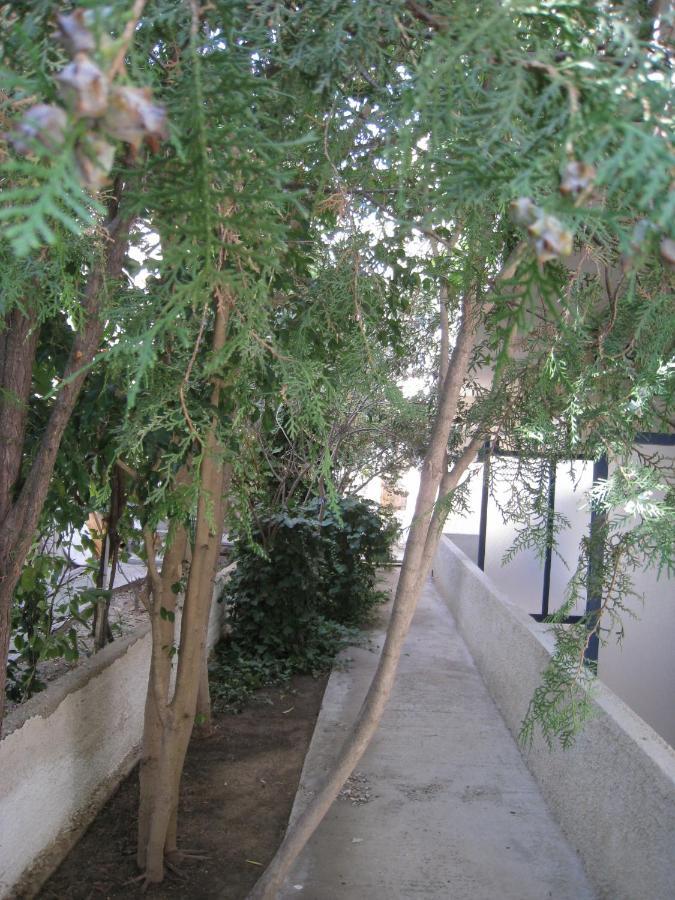 Pericles Studios Agia Marina  Oda fotoğraf